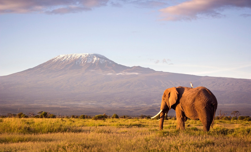 Parc national du Serengeti