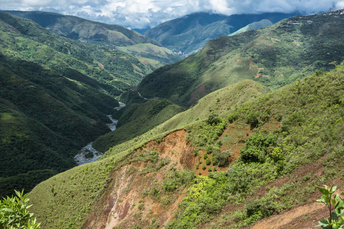 Guanay - Riviere Kaka