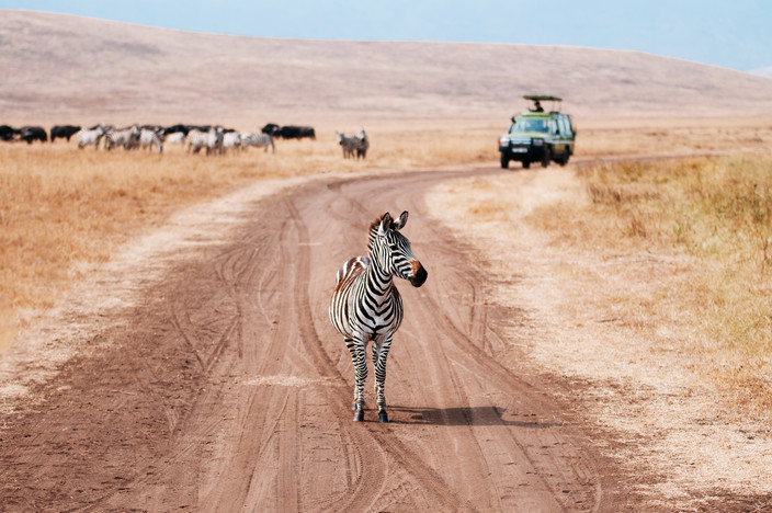 Cratère du Ngorongoro