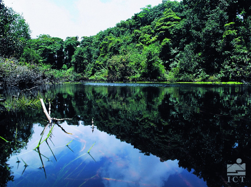 La petite Amazonie du Costa Rica