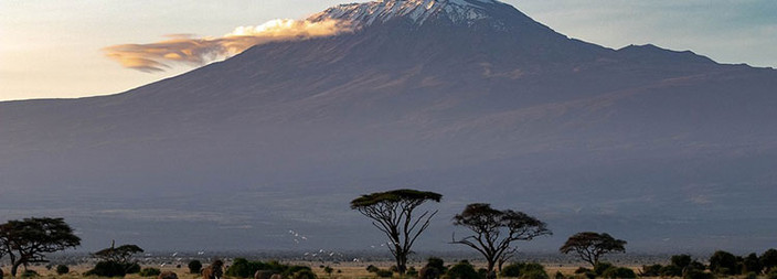 Visite du Parc National d'Amboseli