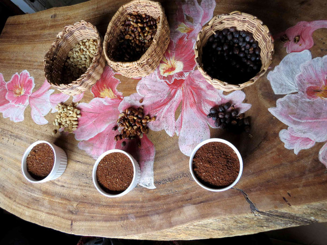 Visite d une ferme traditionnelle de Cacao et descente en kayak du Rio Don Diego