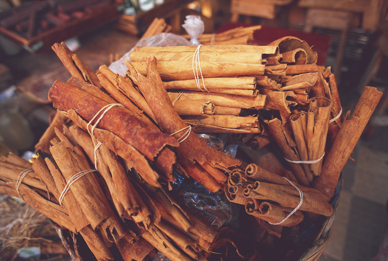 Visite d une plantation de cannelle