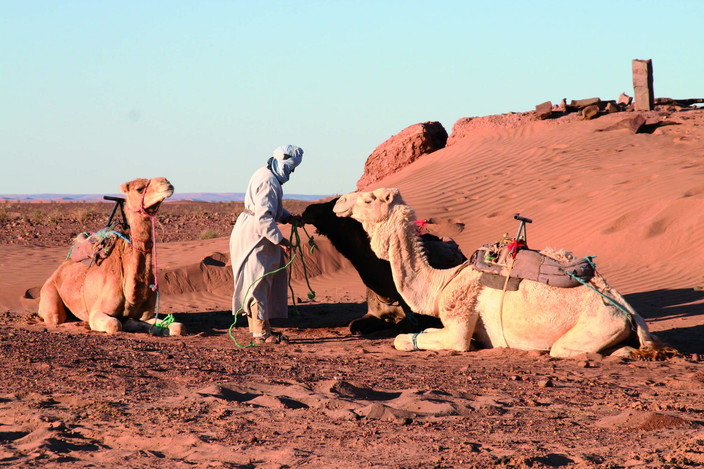 Ouarzazate - Mhamid - Ras-Nkhal