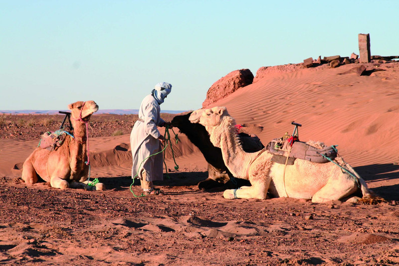 Ouarzazate - Mhamid - Ras-Nkhal