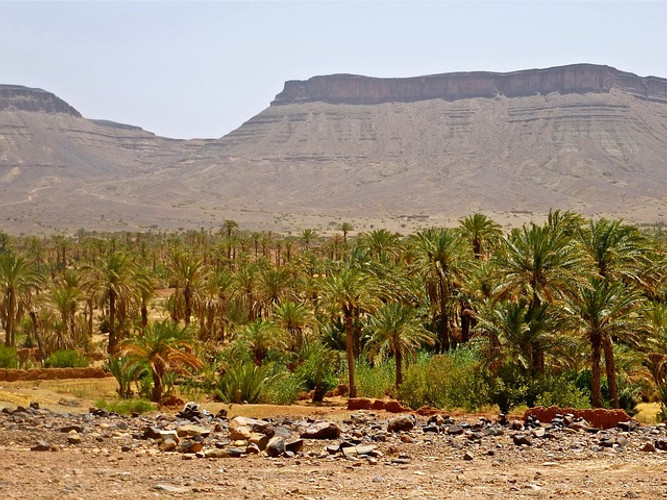 AGADIR, TAROUDANT, MARRAKECH