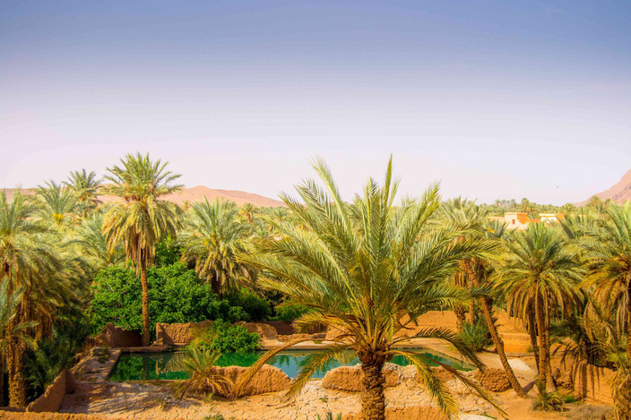 Les Terrasses de l'Atlas, Haut Atlas occidental