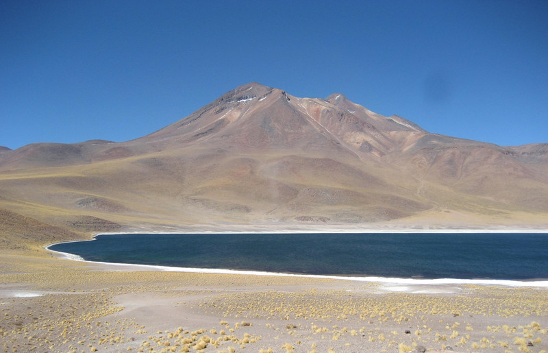 SALAR D’ATACAMA, LACS  D’ALTITUDE  MISCANTI ET MEÑIQUES