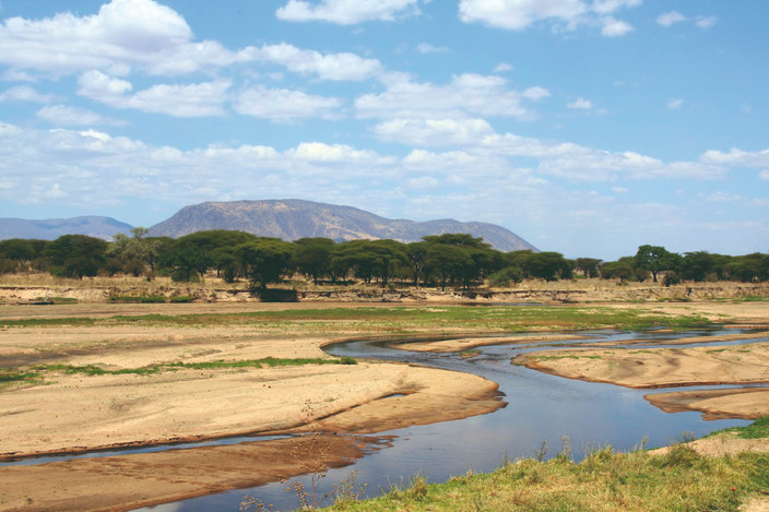Parc national de Ruaha