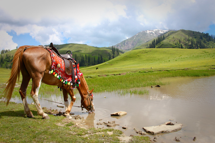 Fairy Meadows
