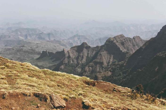 Simiens NP