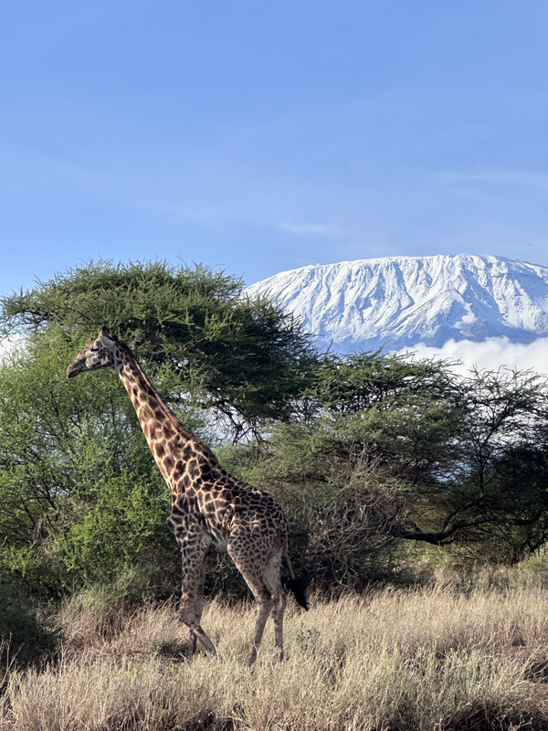 Amboseli