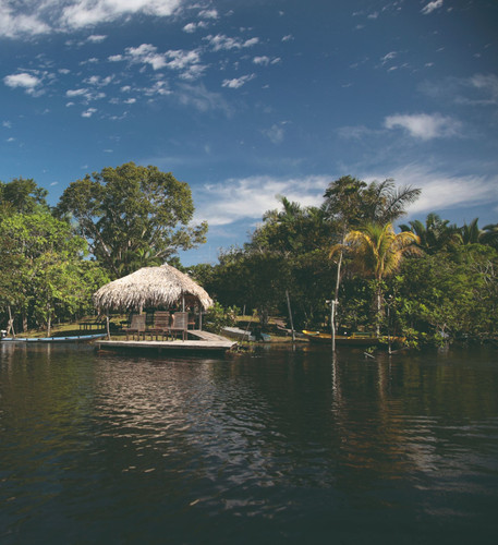 Croisière en amazonie