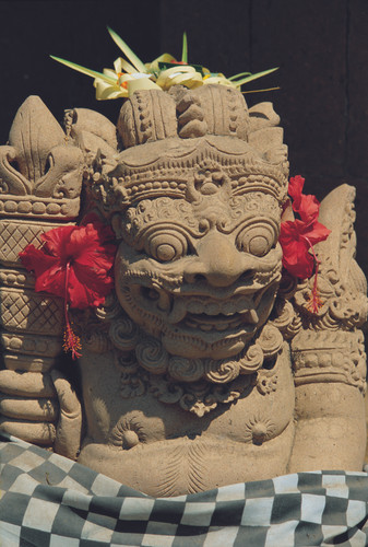 Les premiers pas à Bali