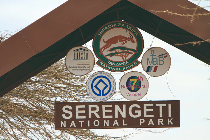 Découvrez le parc national du nord du Serengeti