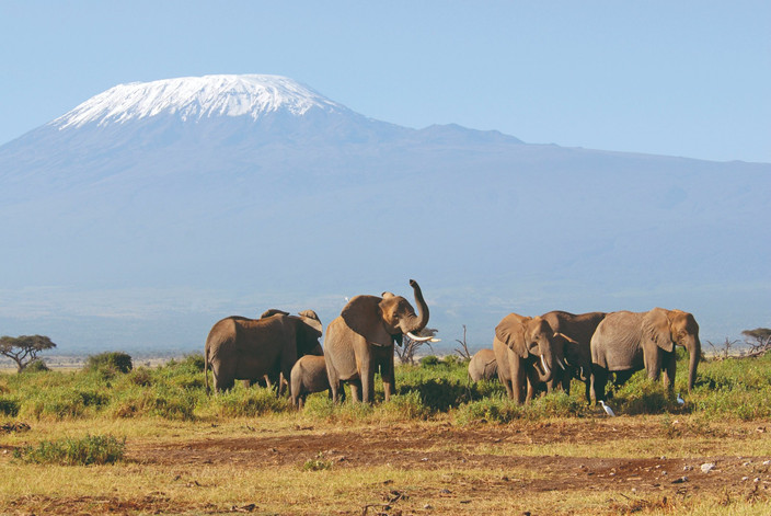 Moshi - Parc national du Kilimandjaro