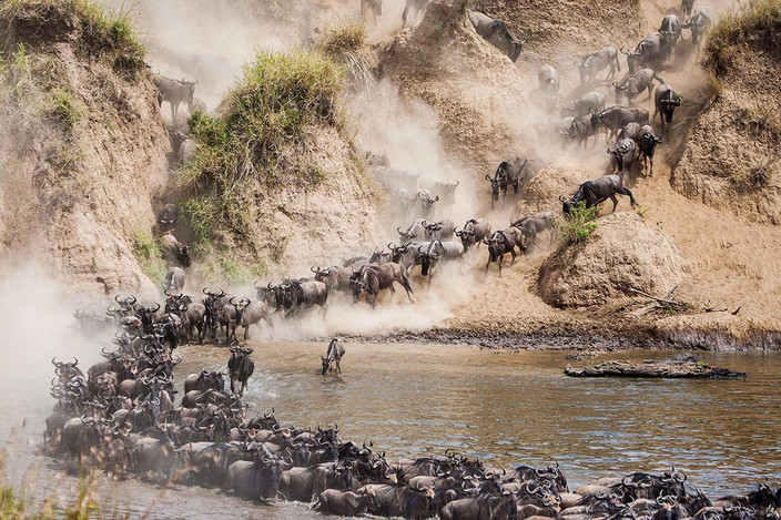 Découvrez le parc national du Serengeti