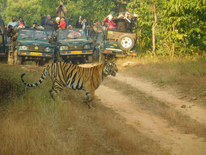 À Bandhavgarh