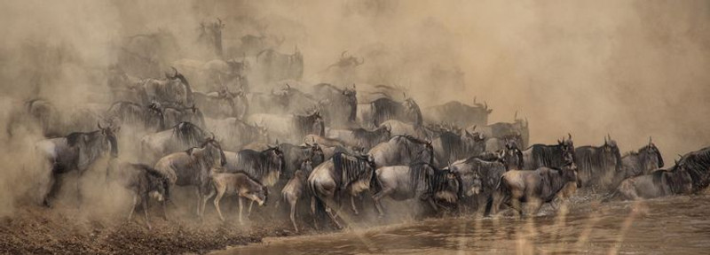 En route pour Serengeti National Park