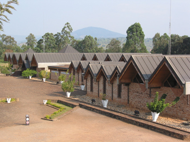 Transfert vers la forêt de Nyungwe - la maison des chimpanzés.