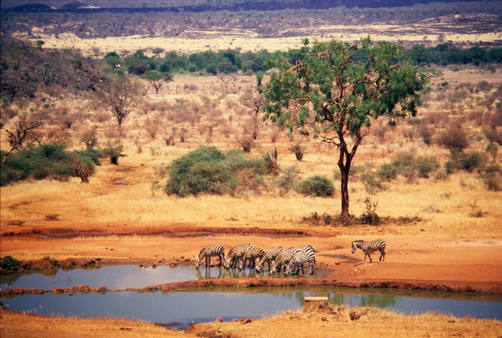 Amboseli - Tsavo Ouest (4h30 de route hors pauses)