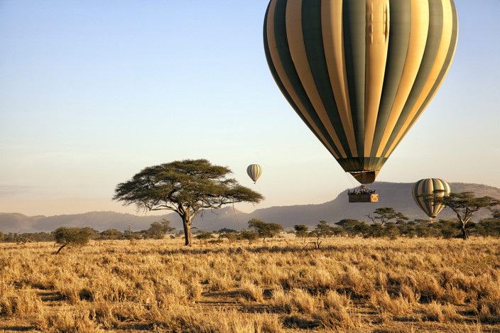 Continuer à explorer le Serengeti