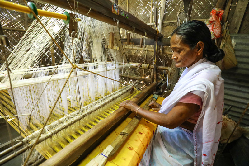 Dibrugarh - Saikhowa en surface