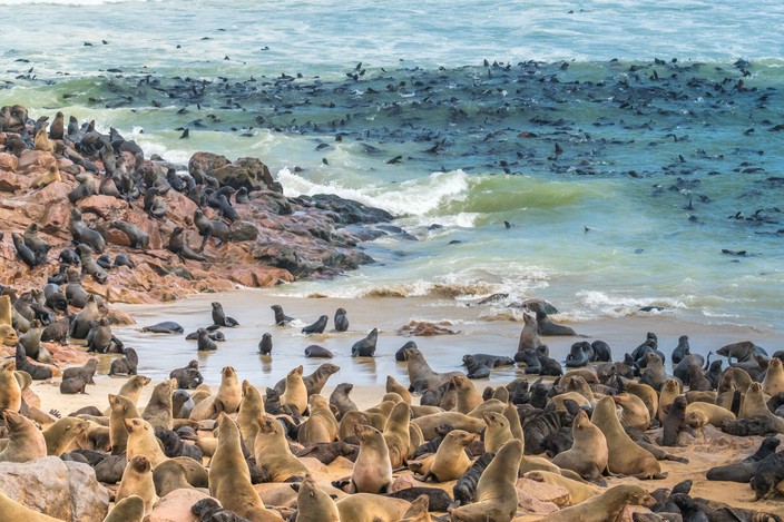 Twyfelfontein - Cape Cross - Swakopmund