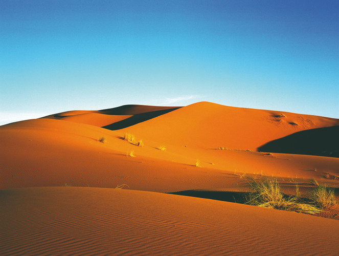 Merzouga - La vallée roses