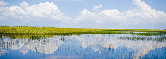 Excursion aux Everglades