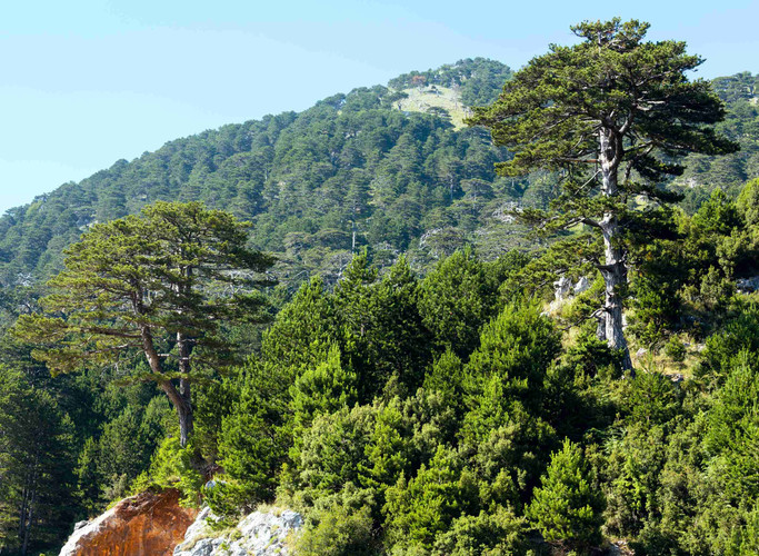 QEPARO - PARC NATIONAL DE LLOGARA