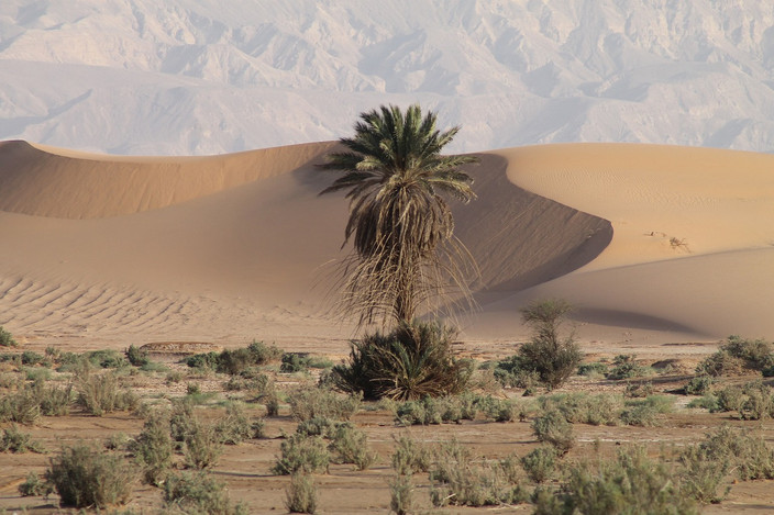 5eme jour : MER MORTE - MONT NEBO - MADABA - MA'IN