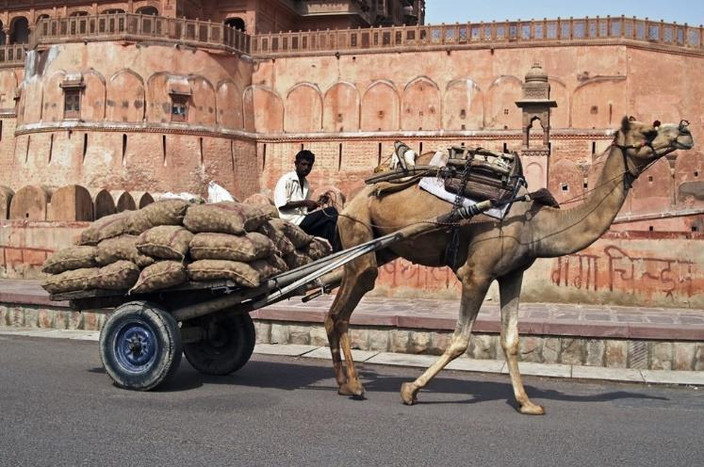 Mandawa - Bikaner - 200 km