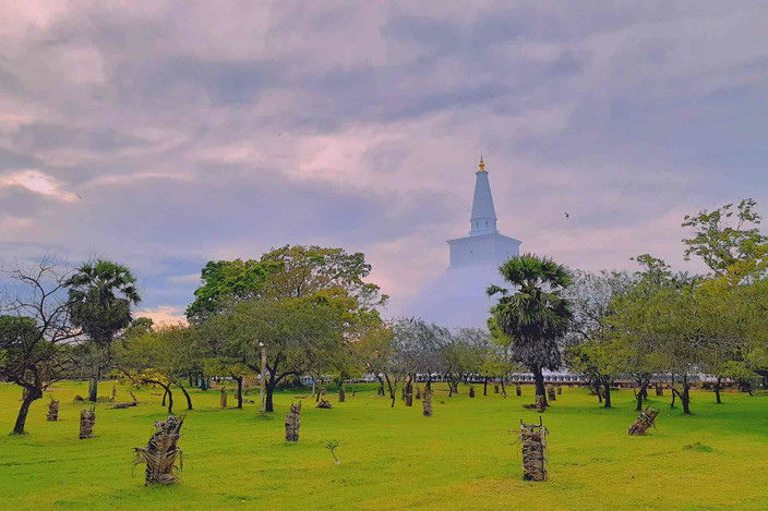 Negombo a Yapahuwa et Anuradhapura (4 h)