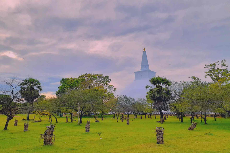 Negombo a Yapahuwa et Anuradhapura (4 h)