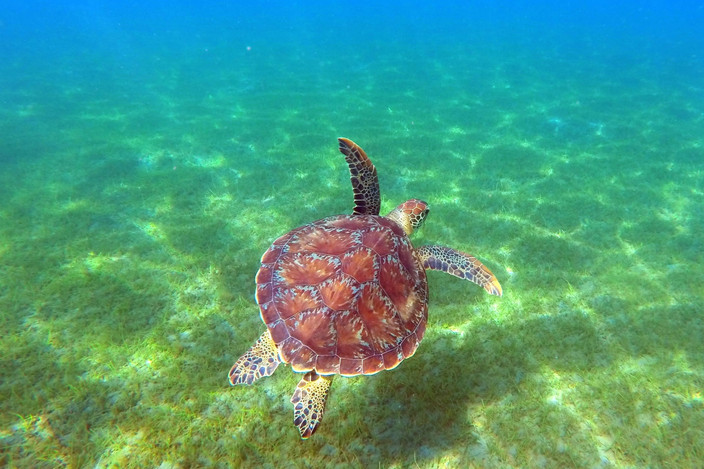 Petite Terre en catamaran