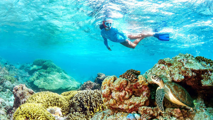 Explore a Ilha Dimaniyat com snorkeling (base compartilhada)