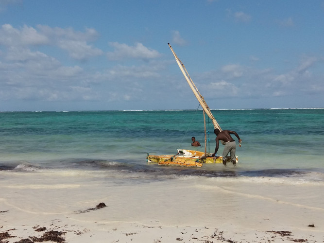 Tsavo Ouest - Diani Beach (4h30 de route hors pauses)