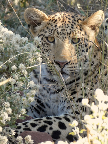 WINDHOEK - REHOBOTH - MARIENTAL (Kalahari)