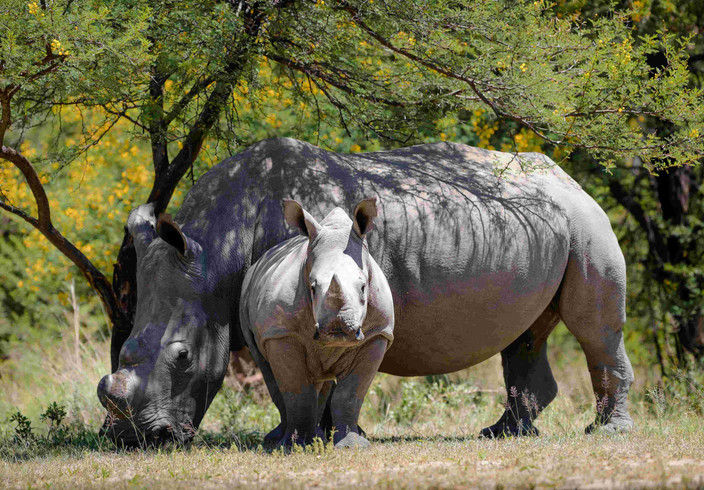 Parc national de Matobo