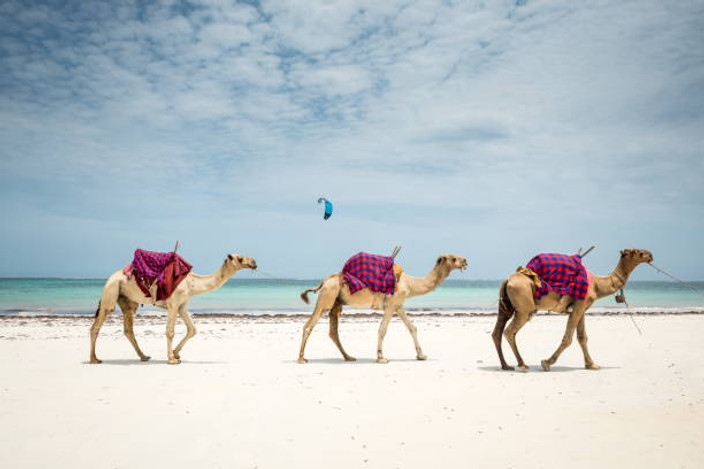 Diani – Last Day in Paradise
