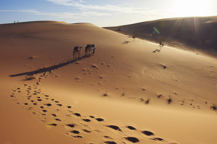 Tenouchert - Oued R'Kawya