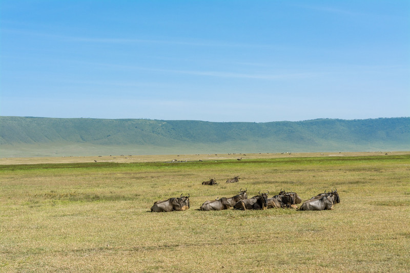 Serengeti - Cratère du Ngorongoro - Ville de Mto Wa Mbu