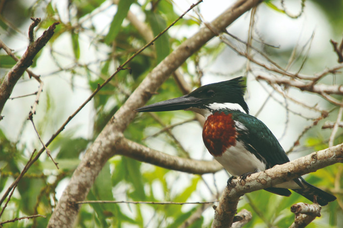 Parc Madidi