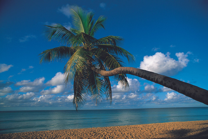 Les plages du sud  (Martinique)