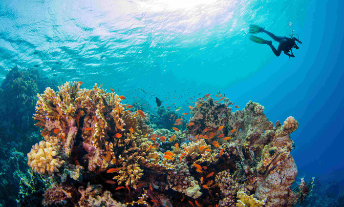Praslin