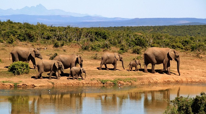 Parc national du Serengeti
