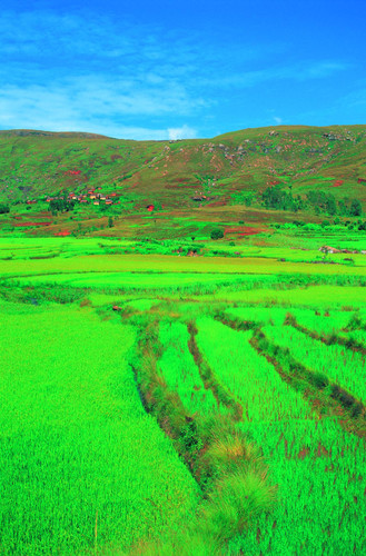 Ranomafana Fianarantsoa