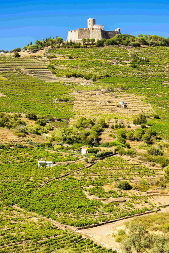 Collioure, sur les pas des impressionnistes - Collioure