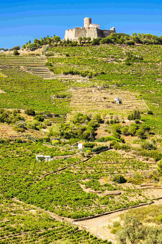 Collioure, sur les pas des impressionnistes - Collioure